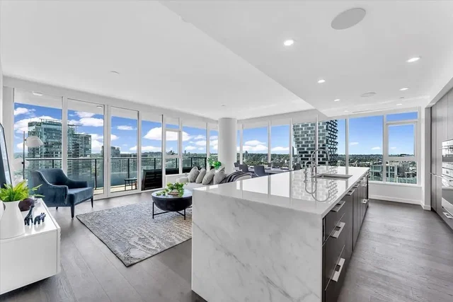 Living room; view, kitchen appliances, natural light, modern style, wood floor