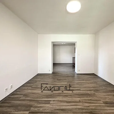 Other; wood floor, natural light