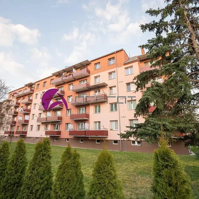 Dům a okolí