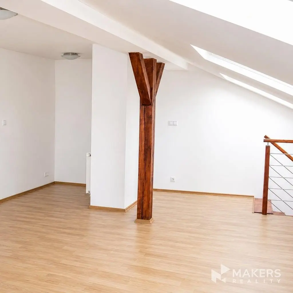 Ostatní; dřevěná podlaha, přirozené světlo, dřevěné trámy
