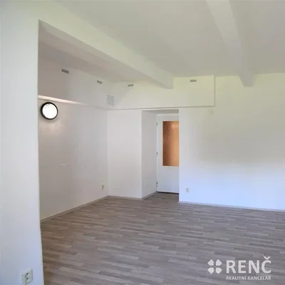 Other; wood floor, natural light