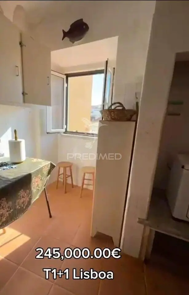 Kuchyňa; prirodzené svetlo, dlažba