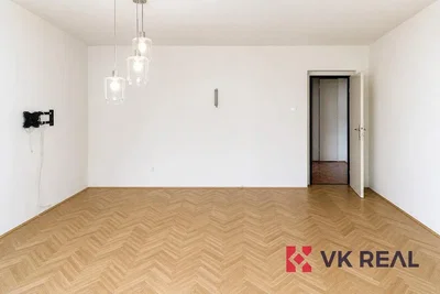 Other; wood floor, natural light