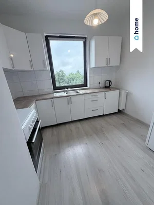 مطبخ; أجهزة المطبخ, أرضية خشبية, ضوء طبيعي, أسلوب عصري, مجدد