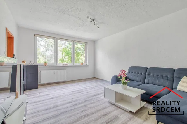 Salon; podłoga drewniana, światło dzienne