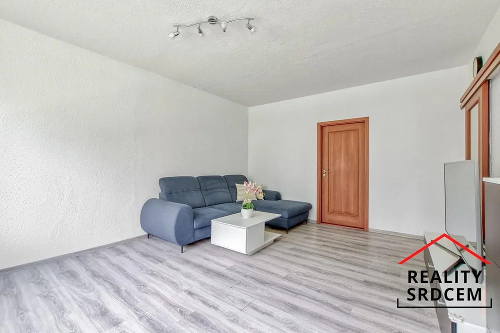 Living room; wood floor, natural light