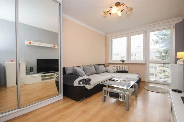 Living room; wood floor, natural light, modern style