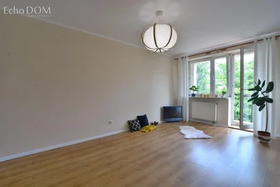 Wohnzimmer; holzboden, tageslicht