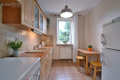 Küche; küchengeräte, tageslicht, moderner stil