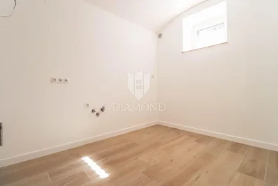 Ostatní; dřevěná podlaha, přirozené světlo