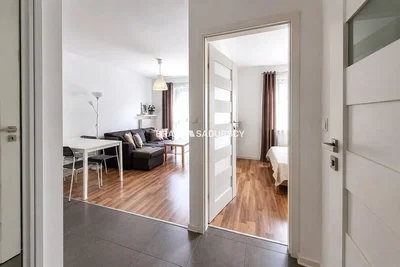 Living room; wood floor, natural light, modern style