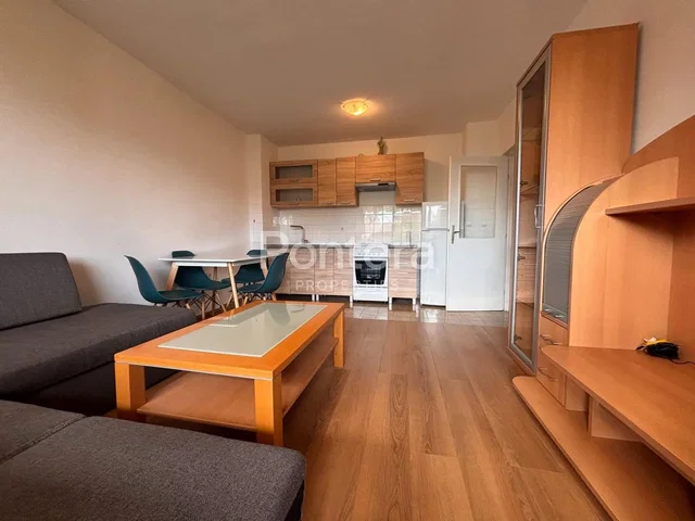 Salon; électroménager, parquet, lumière naturelle