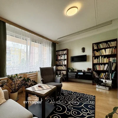 Living room; natural light, wood floor
