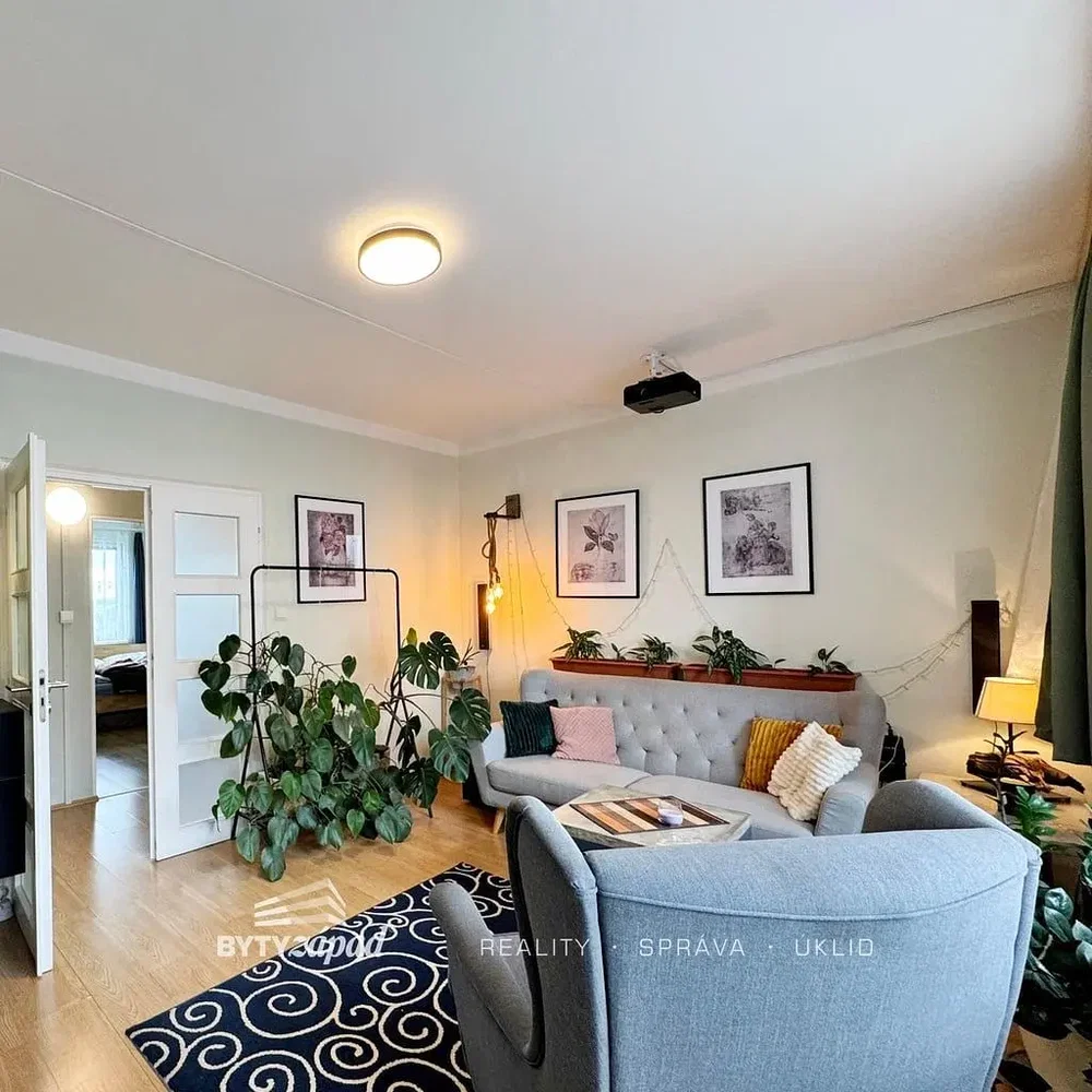 Living room; natural light, modern style
