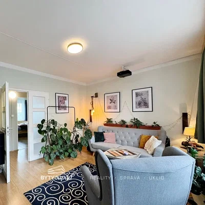 Living room; natural light, modern style