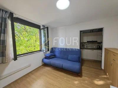 Living room; view, wood floor, natural light