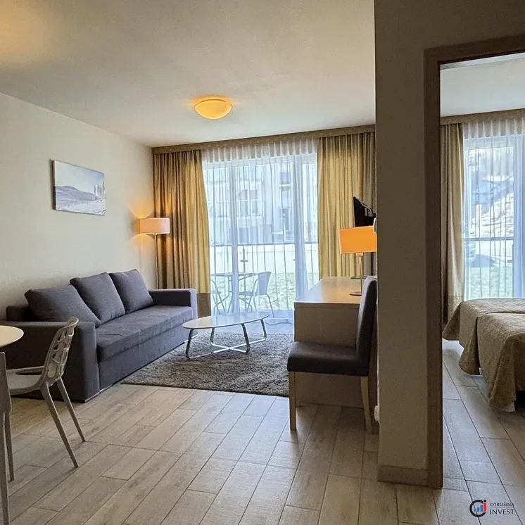 Living room; natural light, wood floor, modern style