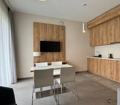 Kitchen; kitchen appliances, natural light, modern style