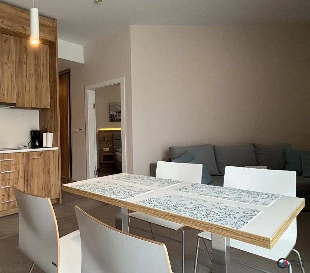 Living room; kitchen appliances, wood floor, natural light, modern style