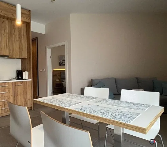 Living room; kitchen appliances, wood floor, natural light, modern style