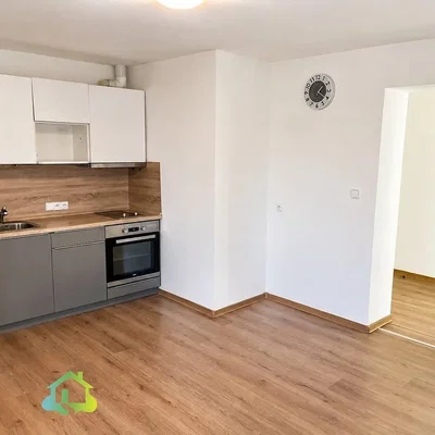 Kitchen; kitchen appliances, wood floor, natural light