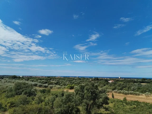 Casa y alrededores; vista, luz natural
