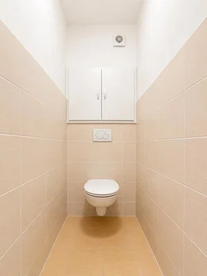 Toilette; fliesenboden, tageslicht