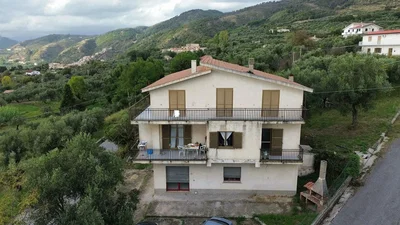 House and surroundings; view, natural light