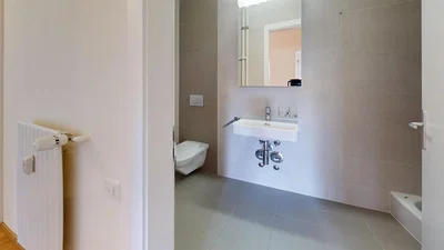 Bagno; pavimento in piastrelle, ristrutturato, luce naturale