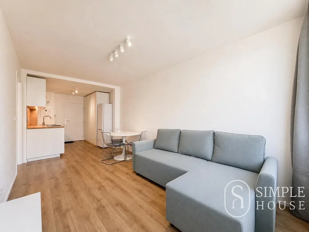 Living room; wood floor, natural light, modern style
