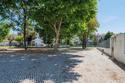 Haus und umgebung