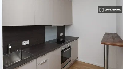 Küche; küchengeräte, holzboden, renoviert, tageslicht