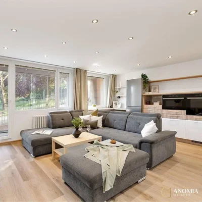 Living room; natural light, wood floor, modern style