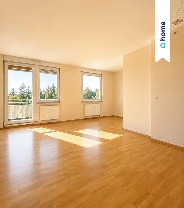 Salon; parquet, lumière naturelle, vue