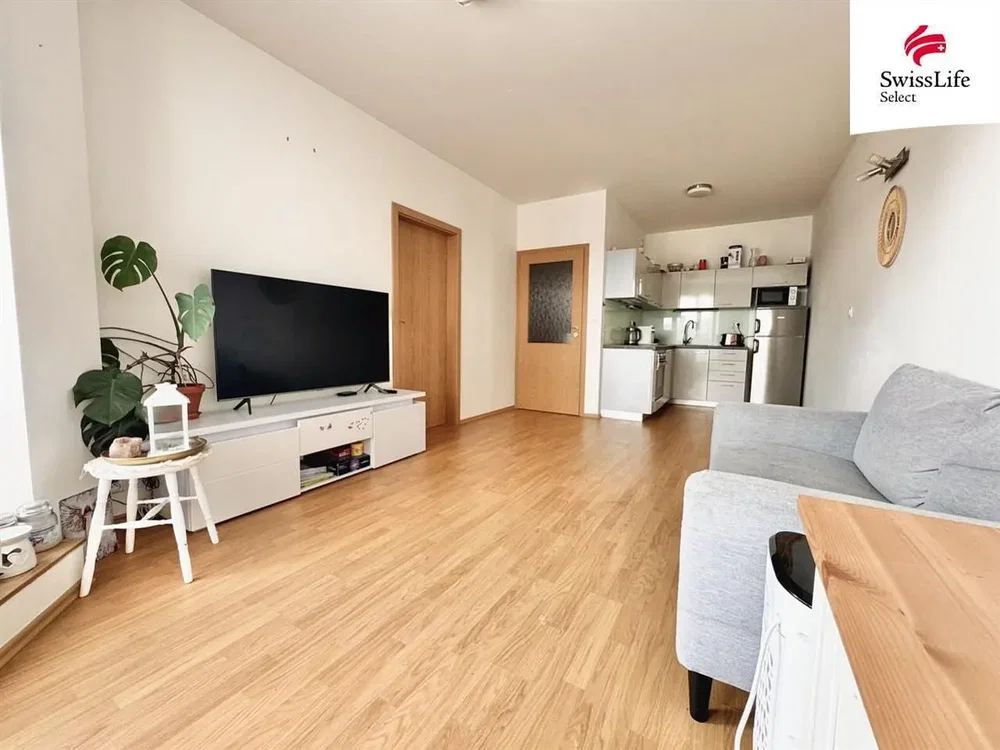 Salon; parquet, lumière naturelle, style moderne