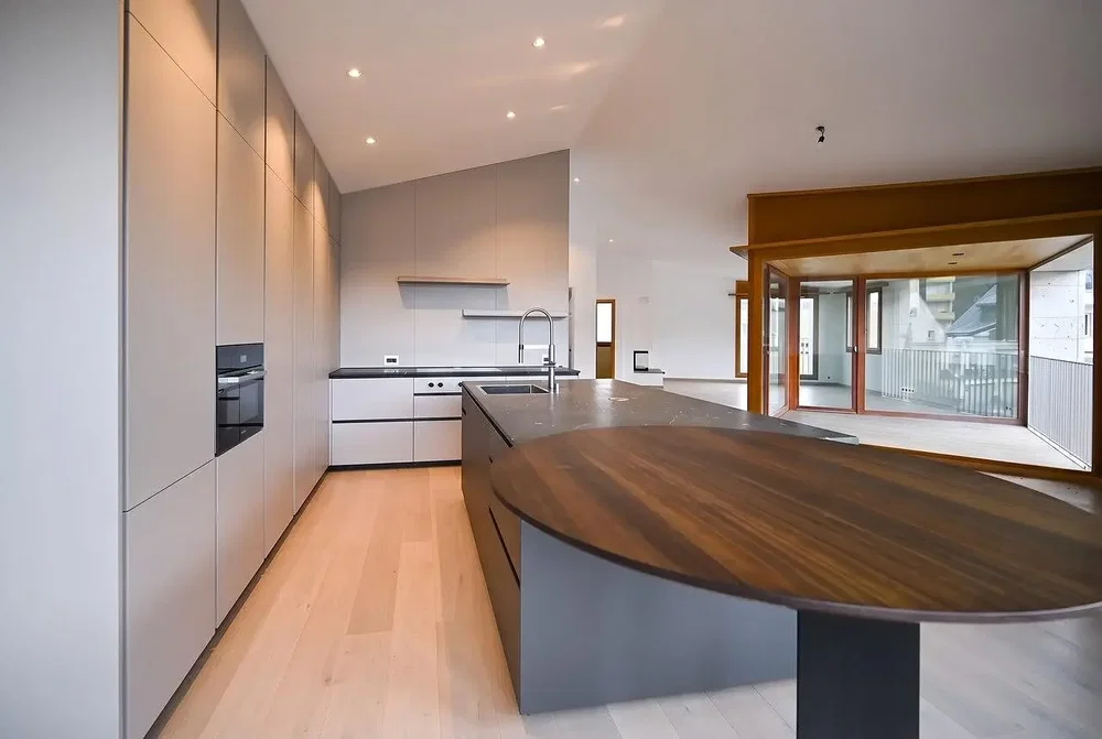 Kitchen; kitchen appliances, wood floor, natural light, modern style, renovated