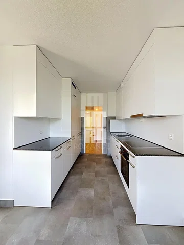 Cuisine; électroménager, carrelage, rénové, lumière naturelle