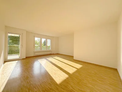 Salon; parquet, lumière naturelle
