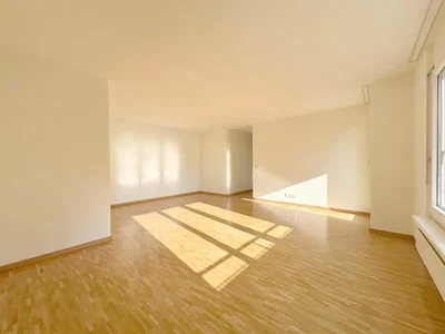 Autre; parquet, lumière naturelle