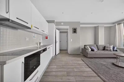 Wohnzimmer; küchengeräte, holzboden, tageslicht, moderner stil
