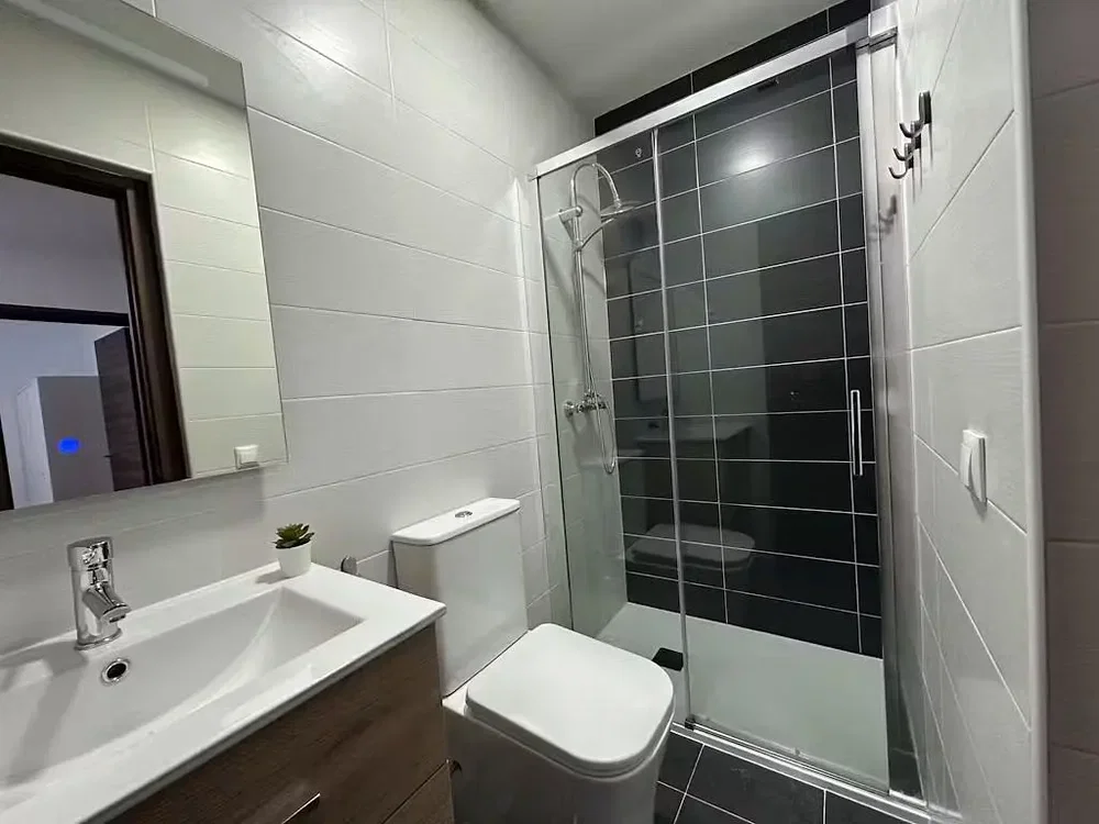 Toilet; tile floor, renovated, natural light