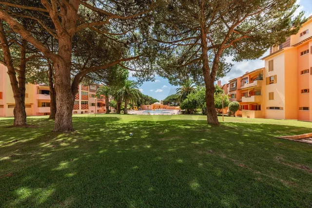 House and surroundings; natural light, view