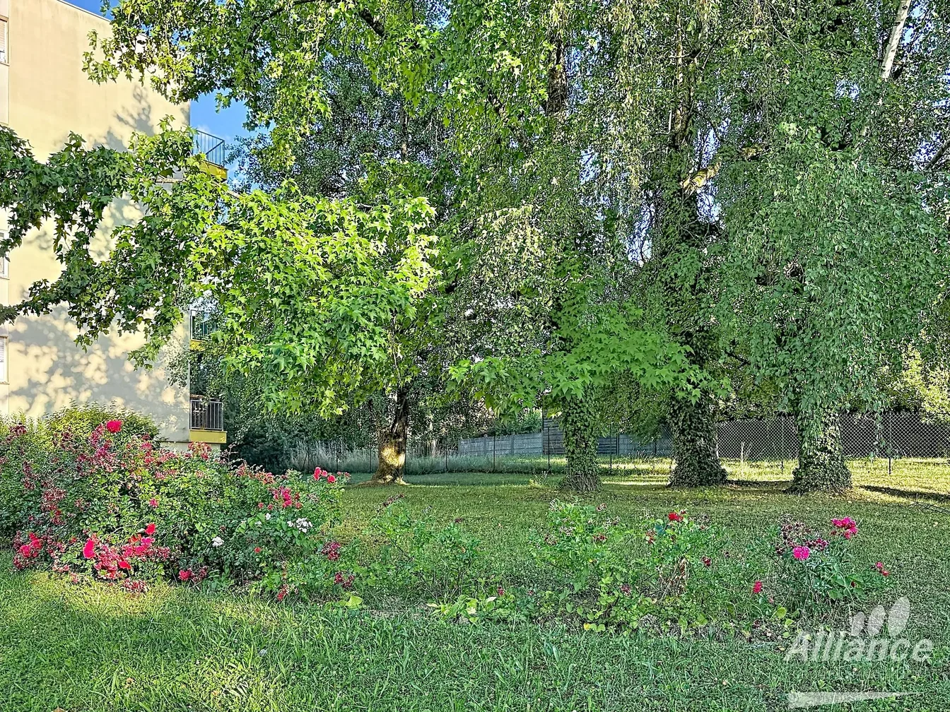 House and surroundings; natural light, view