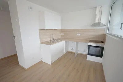 Kuhinja; kuhinjski aparati, drveni pod, renoviran, prirodno svjetlo