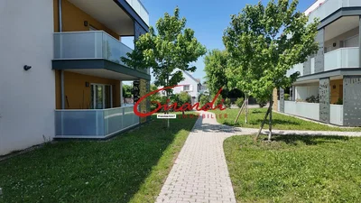 Casa e arredores