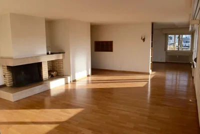 Soggiorno; camino, pavimento in legno, luce naturale