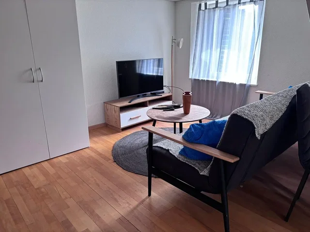 Living room; wood floor, natural light
