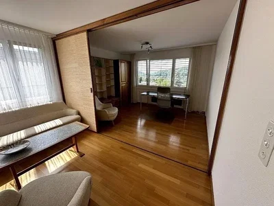 Living room; wood floor, natural light