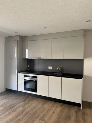 Küche; küchengeräte, holzboden, renoviert, tageslicht