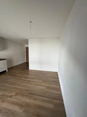 Wohnzimmer; holzboden, tageslicht
